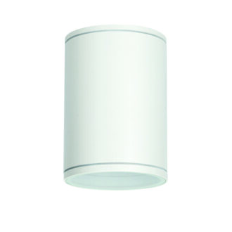 E27 Par30  Round Ceiling Luminaire 230V Ac Matt White Ip65 Max.35W