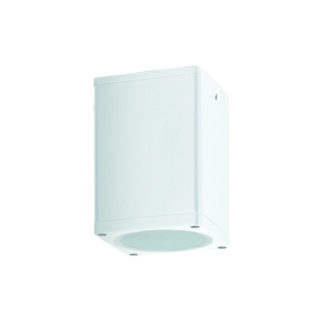 E27 Par30 Square  Ceiling Luminaire 230V Ac Matt White Ip65 Max.35W